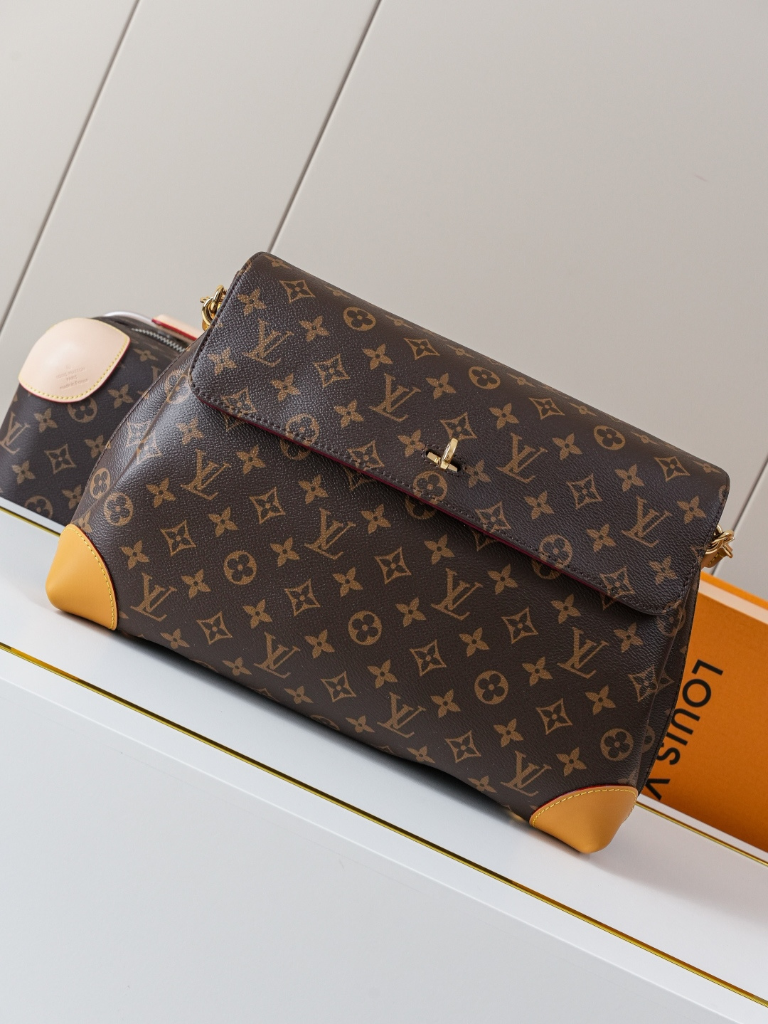 P540 [Chip dinámico 163c01] M14473 tapa para presbicia pedido original [Foto de fondo exclusiva] El bolso Hide Away est…