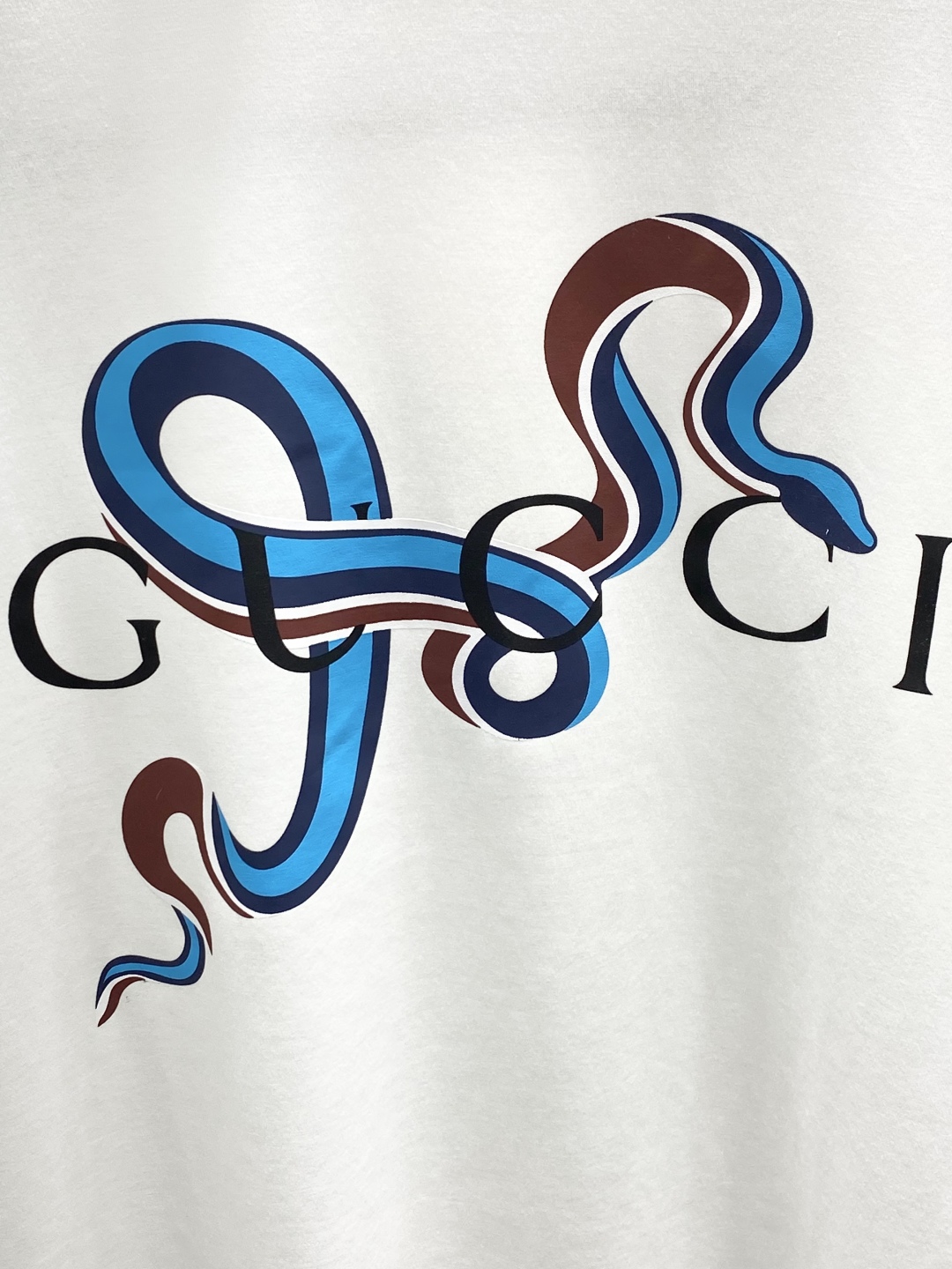Gucci Spring 2025 Collection: Unique Designs, High-Quality Fabrics, and Stylish Prints - 图片 5