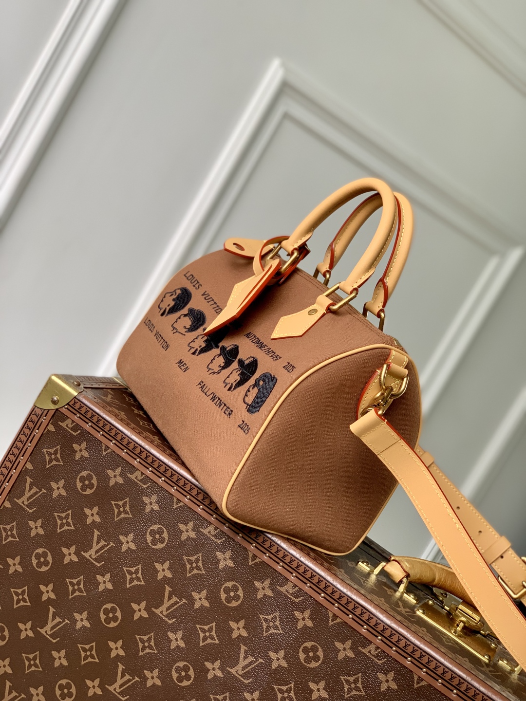 Louis Vuitton Speedy Pharrell and Nigo Collection Brown Canvas Satchel 3 cmp i1752311327400 9648 0 1