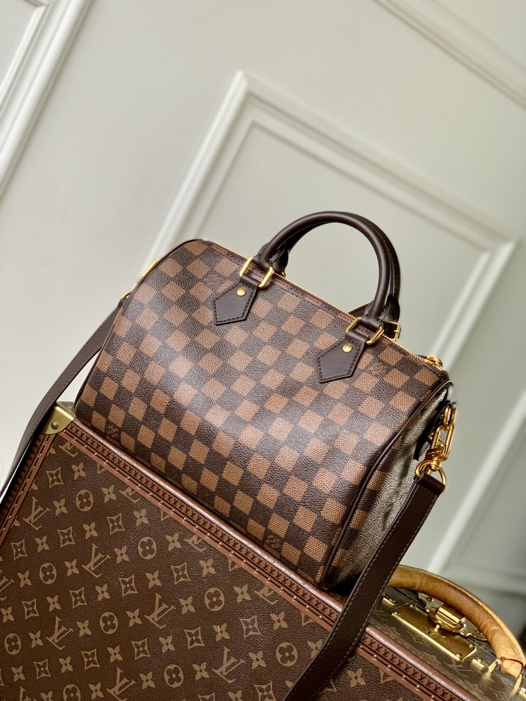 Louis Vuitton Speedy 25 Bandoulière Bag Damier Ebene Pharrell Williams Nigo 4 cmp i1757580669111 7143 0 2