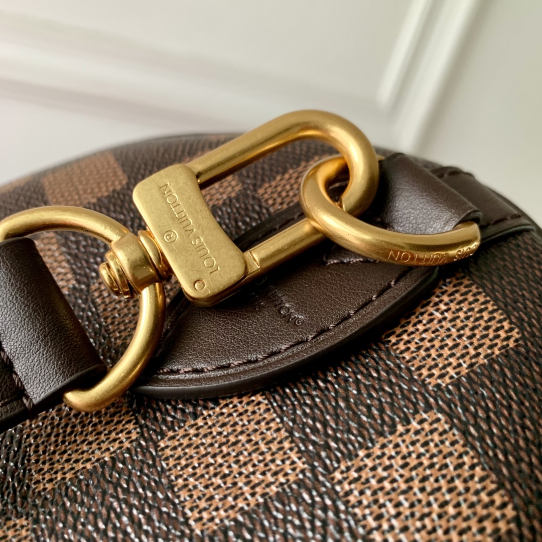 Louis Vuitton Speedy 25 Bandoulière Bag Damier Ebene Pharrell Williams Nigo 7 cmp i1757580669266 2794 0 5