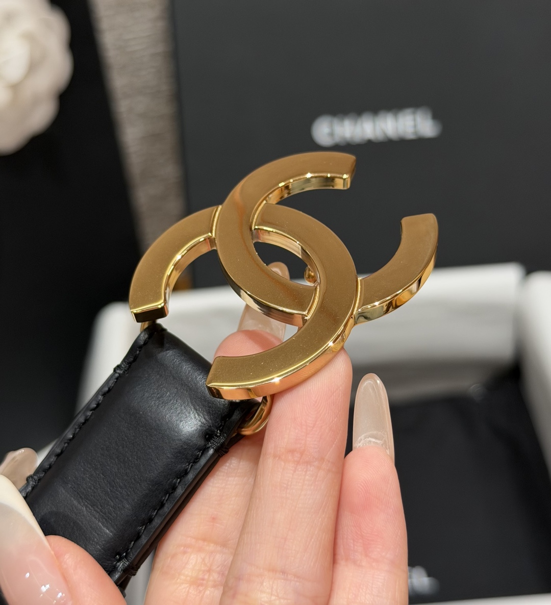 香家✨ Leather Belt 25mm 皮质腰带 经典双C扣单层小牛皮腰带。小牛皮与金属。外侧光面小牛皮，内侧裸米色