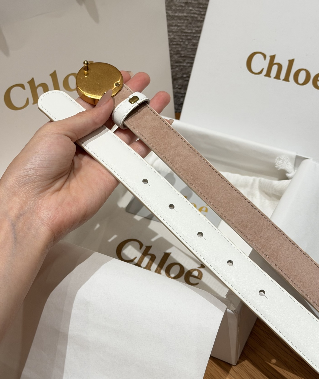 克洛伊✨ HORSE MEDAL Belt 25mm腰带 这款皮革腰带采用小牛皮制成。所用皮革经过精挑细选。经典圆形金属