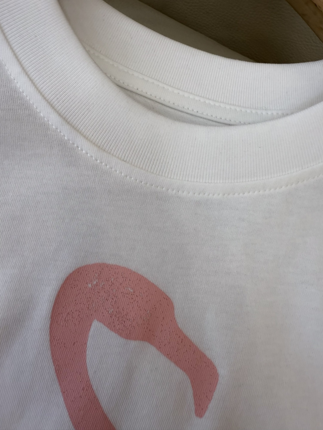 CK036#新款T恤💕Chloe 最新爆款 火烈鸟🦩印花字母logo 短袖T恤 两色 SML