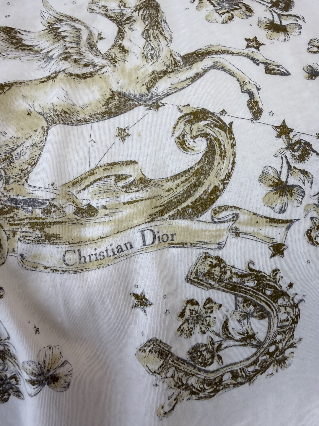 QG0139#新款T恤💕dior 顶级版 85% 棉 15% 麻 飞马印花短袖T恤 SML