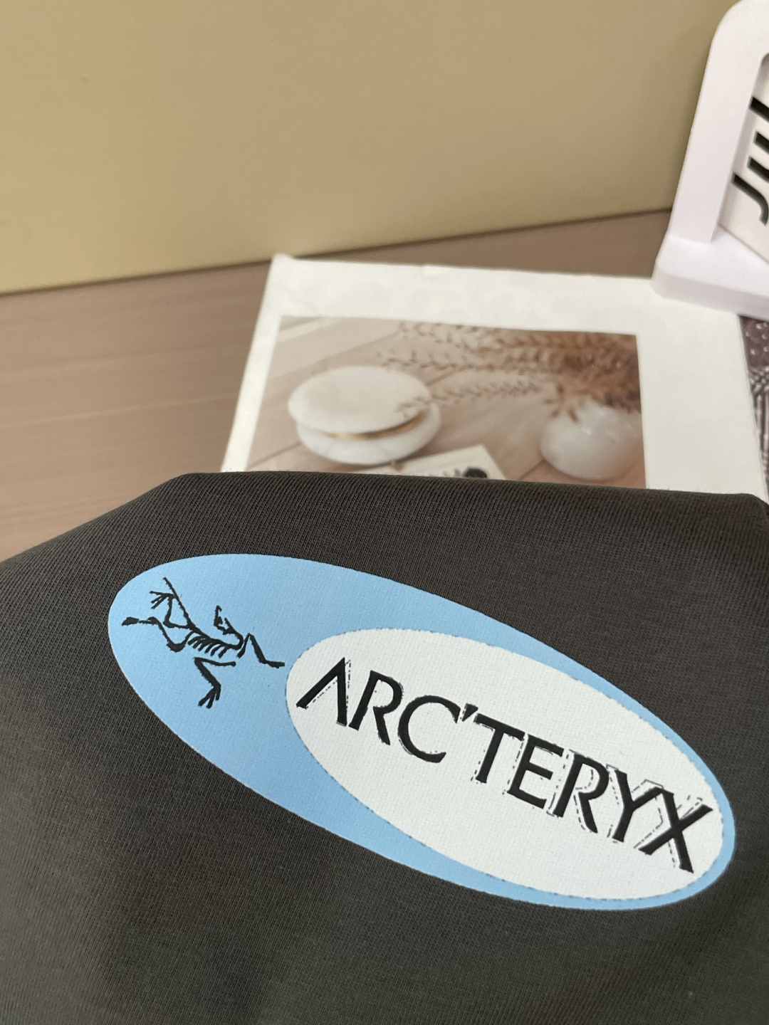 始祖鸟2026春夏款/官网同步面料采用重磅纯棉精梳棉面料，OS宽松版型，上身版型超正！日常百搭，衣橱必备