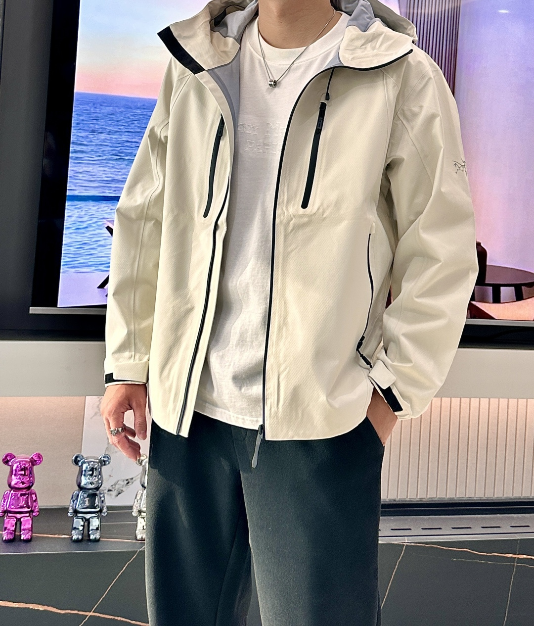 Arc'teryx Beta LT Series Waterproof Hooded Jacket - Versatile Outdoor Coat