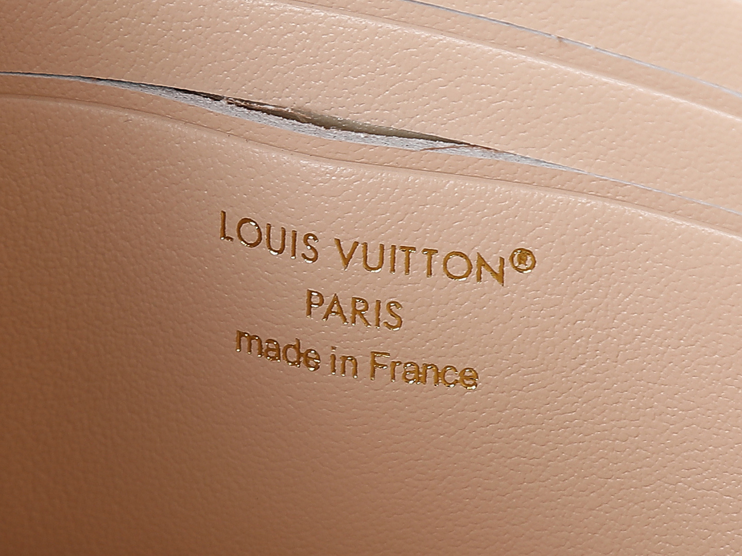 【顶级原单 独家实拍】M14581杏色 全皮链条包 当季新款 WALLET ON CHAIN LV BL