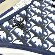 Dior比基尼👙刺绣小蜜蜂 经典字母印花 拿捏度假氛围感 满印字母印花 度假高级感密码 Dio Dior比基尼👙刺绣小蜜蜂 经典字母印花 拿捏度假氛围感 满印字母印花 度假高级感密码 Dio
