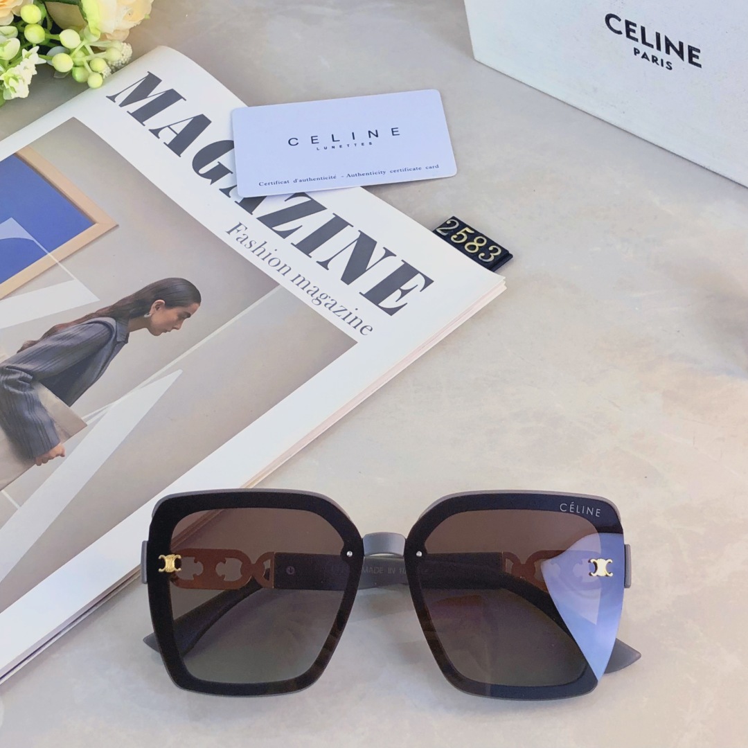 。。Celin*2025新款偏光复古大框太阳镜女网红街拍方形墨镜ins高级感