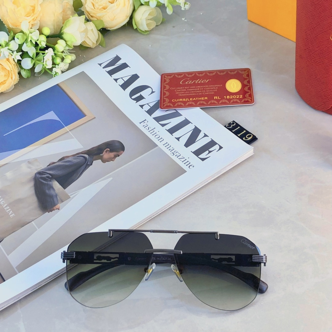 。。CARTIE*时尚奢华金属风蛤蟆太阳镜驾驶男士百搭大框墨镜