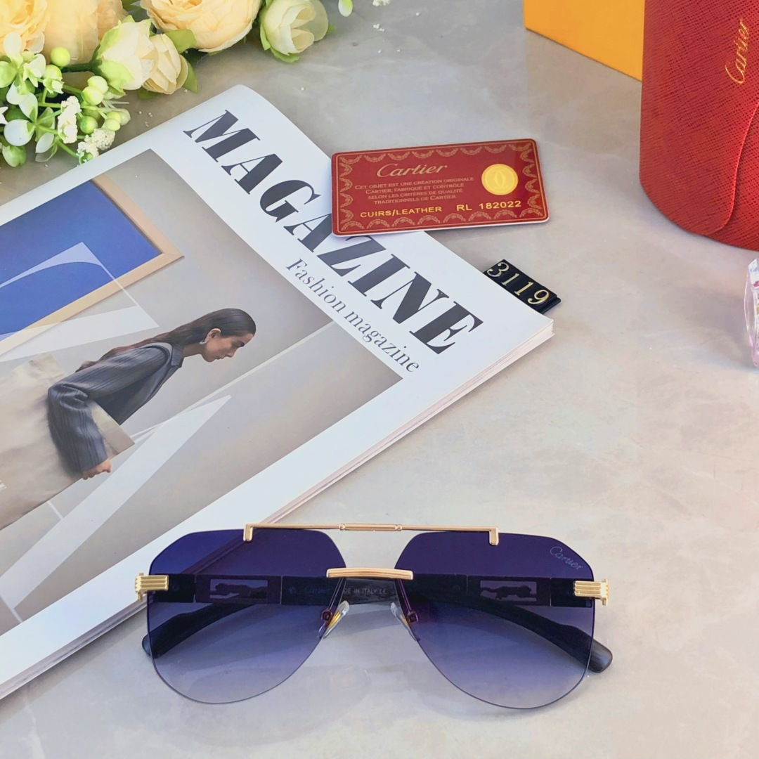 。。CARTIE*时尚奢华金属风蛤蟆太阳镜驾驶男士百搭大框墨镜