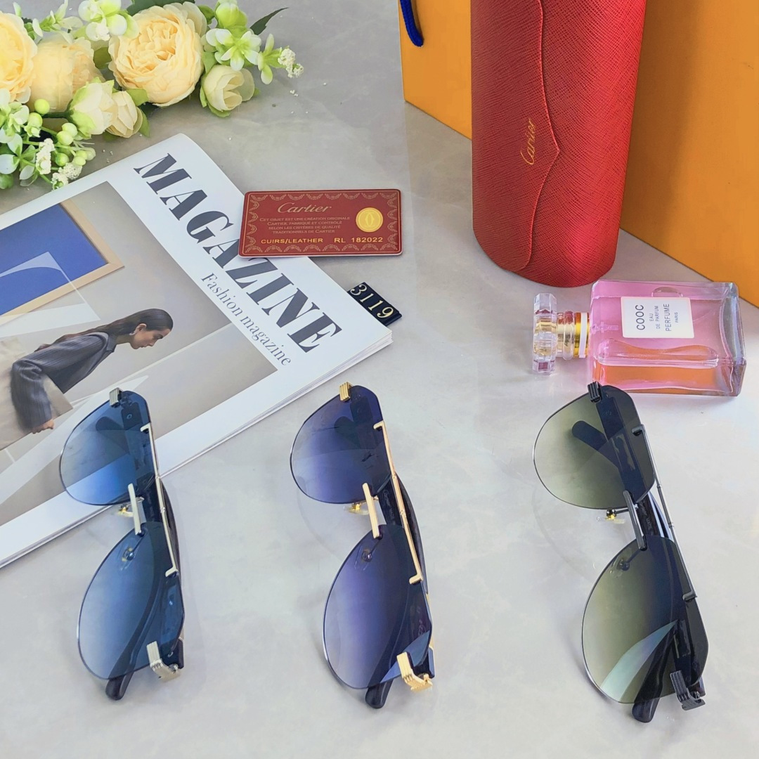 。。CARTIE*时尚奢华金属风蛤蟆太阳镜驾驶男士百搭大框墨镜