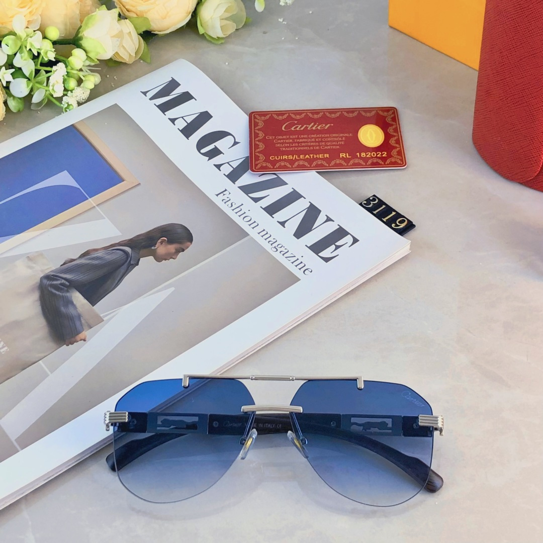 。。CARTIE*时尚奢华金属风蛤蟆太阳镜驾驶男士百搭大框墨镜