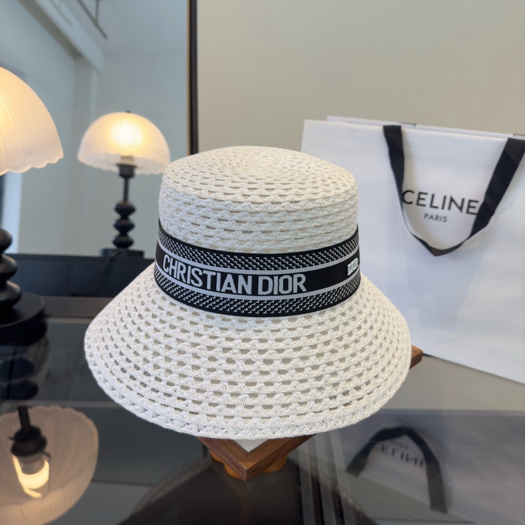 China Replica Dior Hats DRCP0403-3022