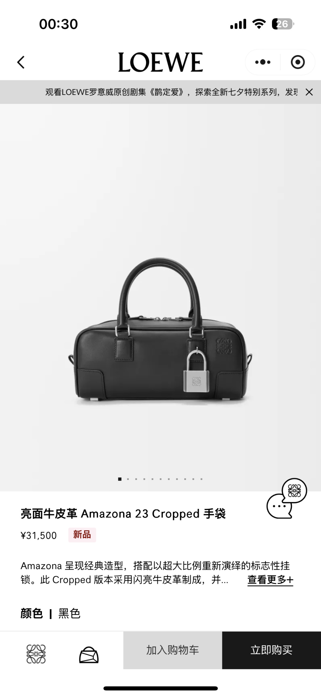 NO:343020,#Official website picture#Detail 1, new Amazona handbag19860909#官网图#细节一,新款Amazona手袋,Bag