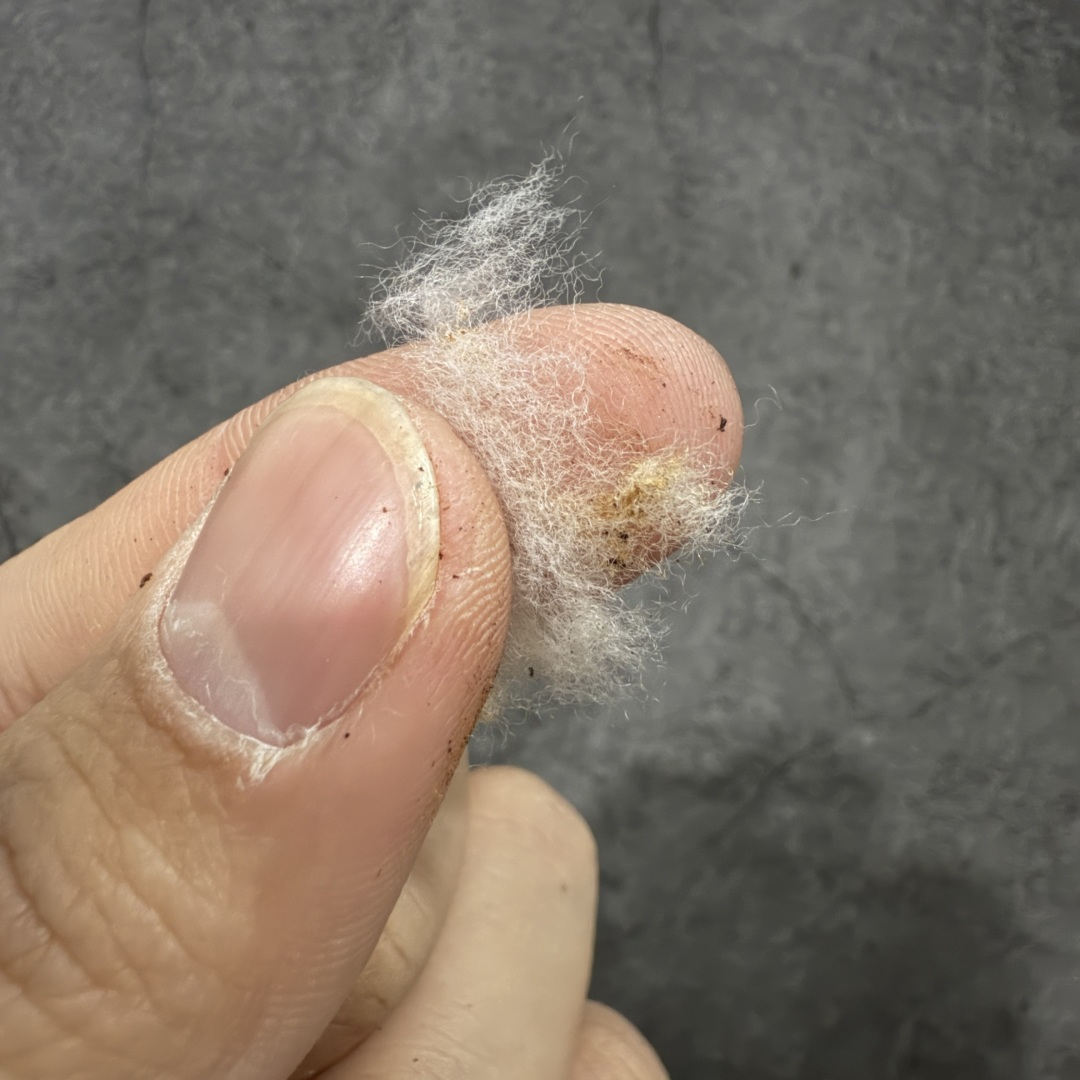 图片[9]-【莞顶G版】Birkenstock\\t 勃肯/博肯软木软底全包 羊毛一体休闲鞋 十年ZP代工厂老师傅工艺 纯手工打造原汁原味博肯 市场最强版 没有之一 鞋面设计：选用陸丰A级进口羊皮毛，质地细腻，手感丰满；尺寸间障均匀，柔软，深度保暖；吸湿，进气，排汗 鞋子内里：化质澳洲羔羊皮分子结构可将水蒸气吸进多孔构体中，吸湿性好，透气性极住，保持脚底干爽 鞋底设计：型模EVA极富弹性，加持胎面设计，升级版独家私模，柔软回弹性好，耐折耐磨，防滑防踢 尺码： 35 36 37 38 39 40-选品中心