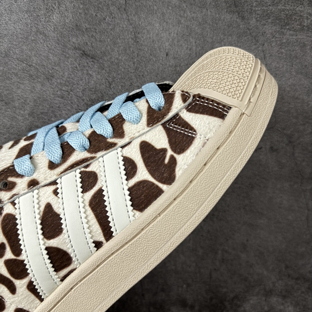 图片[6]-【GX版本】Adidas Original Superstar 2 \”Paris\” 阿迪达斯 低帮 男女同款 贝壳头2代防滑耐磨轻便低邦板鞋 鞋身整体以豹纹状皮革打造，搭配经典米色贝壳头，鞋身两侧经典锯齿三条杠Logo采用白色点缀，蓝色鞋带，后跟装饰片辅以金色烫印logo，最后以米色大底完善整体设计收尾。整体时尚耀眼。 货号：KH9031 尺码：35¹/₃ 36 36²/₃ 37¹/₃ 38 38²/₃ 39¹/₃ 40 40²/₃ 41¹/₃ 42 42²/₃ 43¹/₃ 44 44²/₃ 45¹/₃-莆田鞋