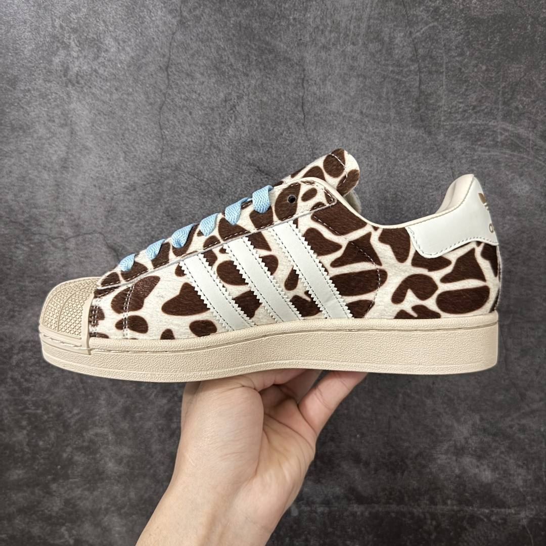 图片[2]-【GX版本】Adidas Original Superstar 2 \”Paris\” 阿迪达斯 低帮 男女同款 贝壳头2代防滑耐磨轻便低邦板鞋 鞋身整体以豹纹状皮革打造，搭配经典米色贝壳头，鞋身两侧经典锯齿三条杠Logo采用白色点缀，蓝色鞋带，后跟装饰片辅以金色烫印logo，最后以米色大底完善整体设计收尾。整体时尚耀眼。 货号：KH9031 尺码：35¹/₃ 36 36²/₃ 37¹/₃ 38 38²/₃ 39¹/₃ 40 40²/₃ 41¹/₃ 42 42²/₃ 43¹/₃ 44 44²/₃ 45¹/₃-莆田鞋