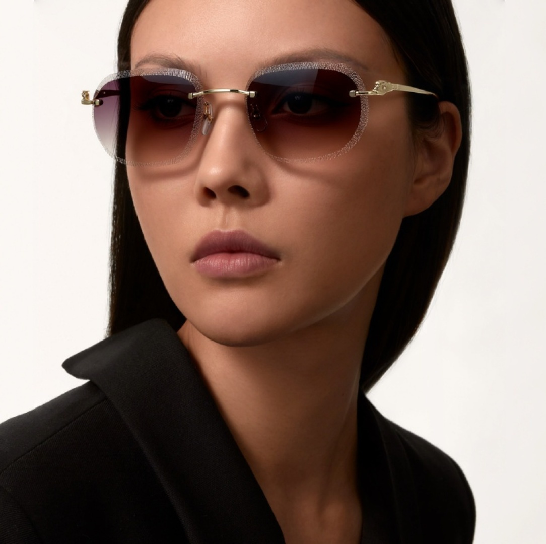 Designer Sunglasses CT0839S