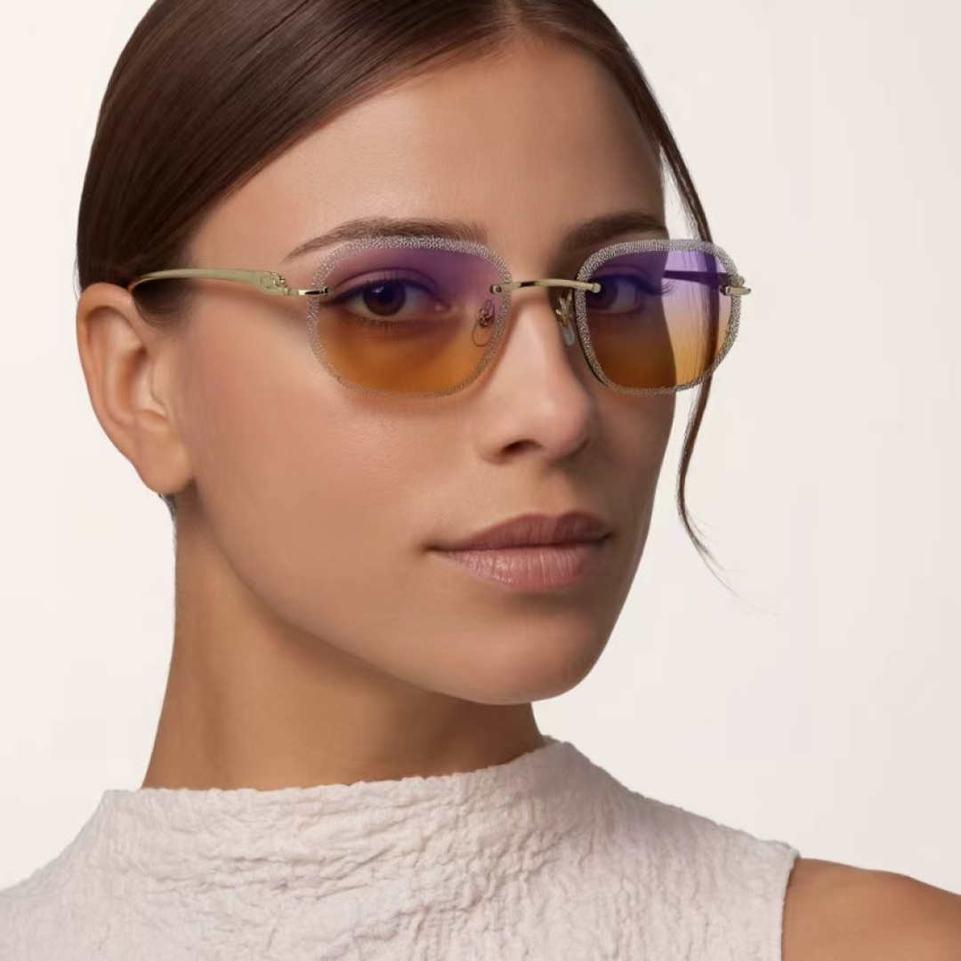 Designer Sunglasses CT0839S