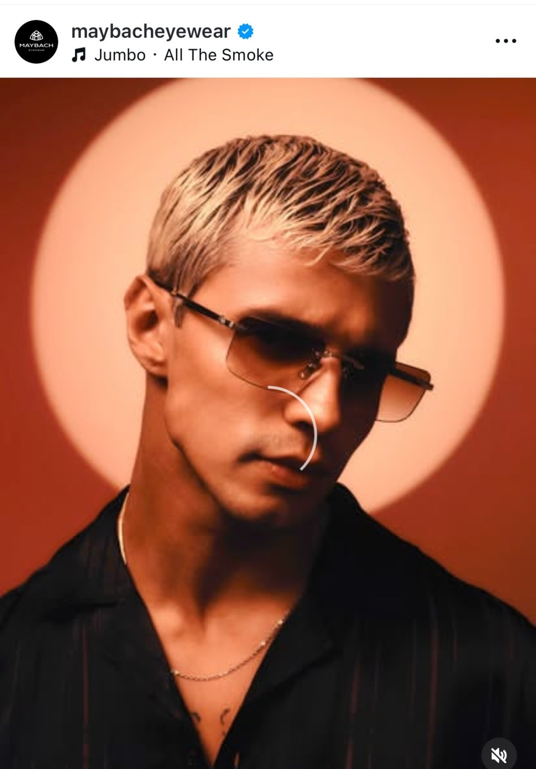 Designer Sunglasses THE