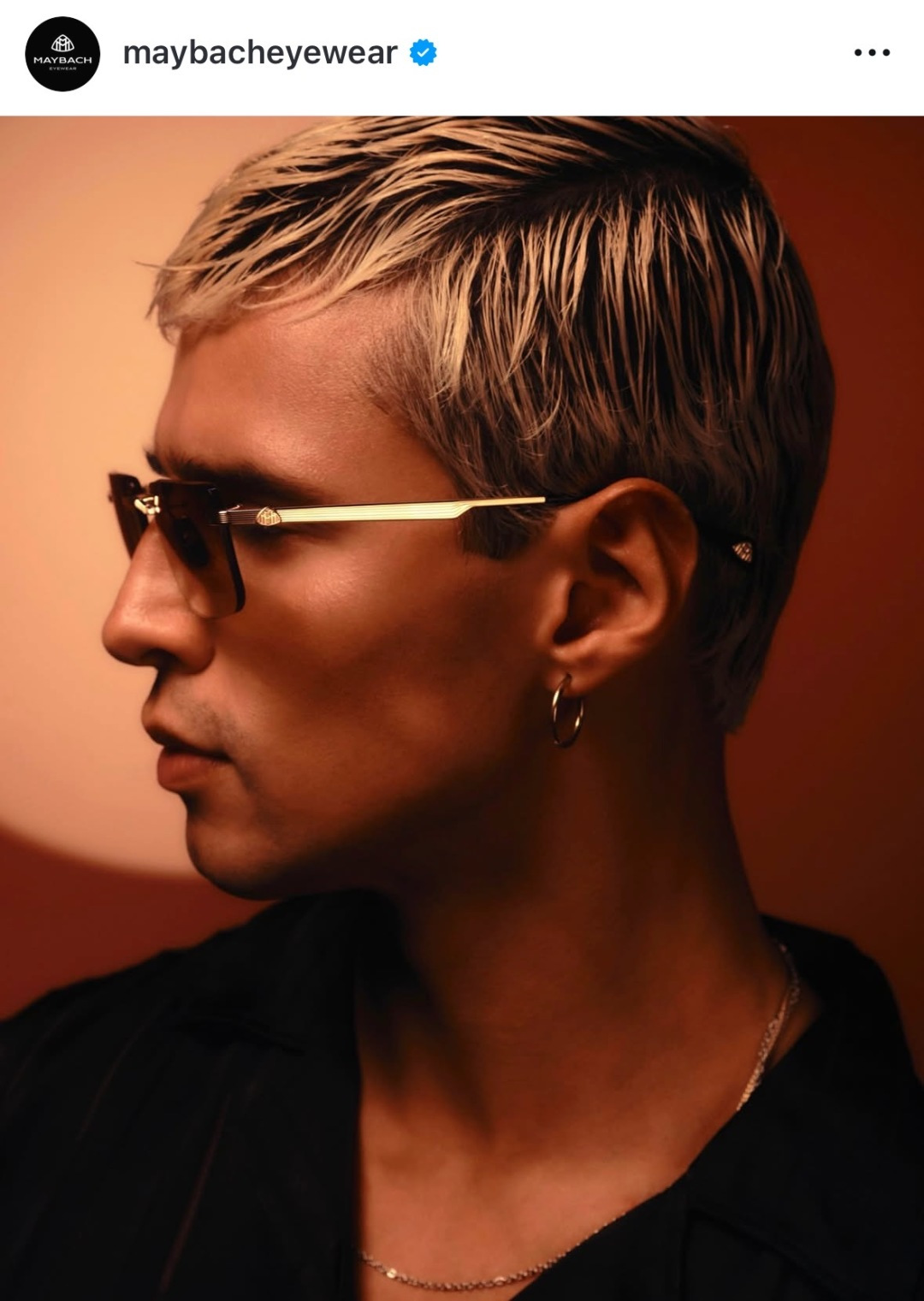 Designer Sunglasses THE
