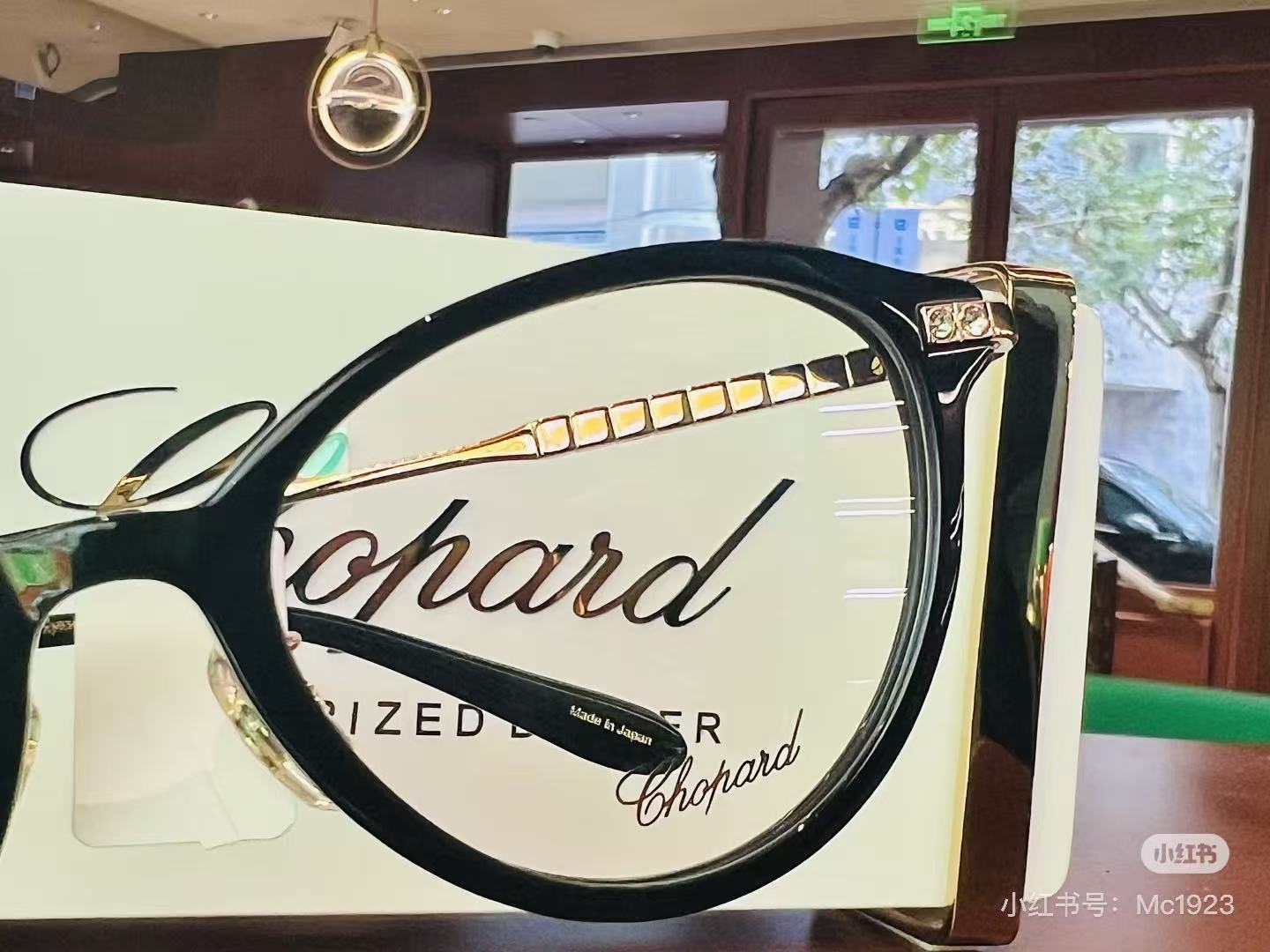 Designer Sunglasses VCH396J