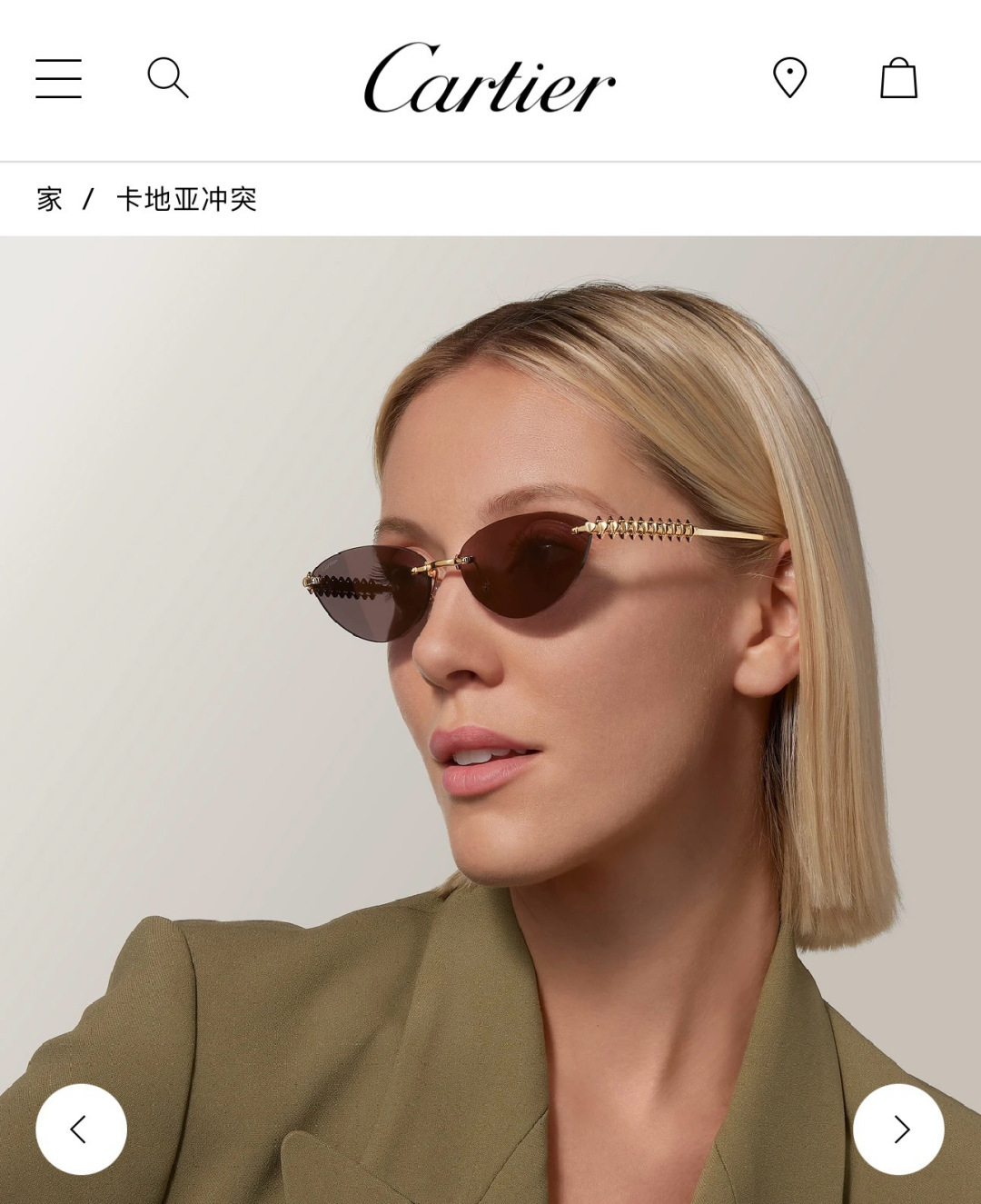 Designer Sunglasses CT0543S