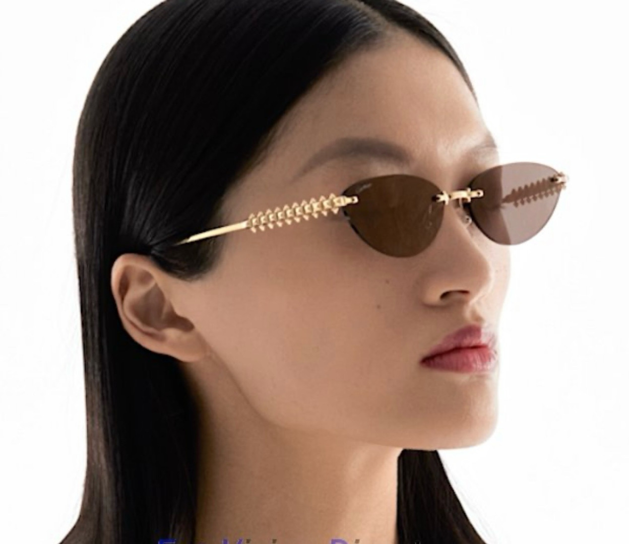 Designer Sunglasses CT0543S
