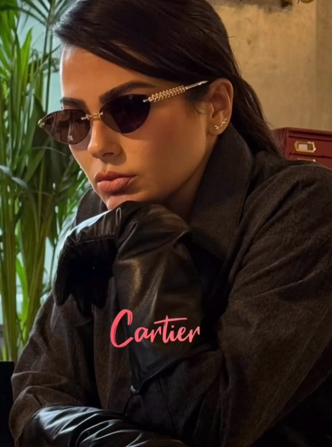 Designer Sunglasses CT0543S