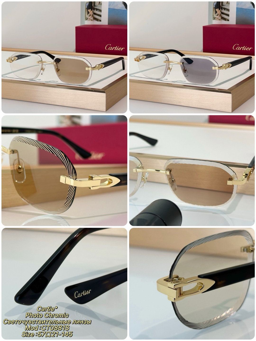 Designer Sunglasses CT0881S