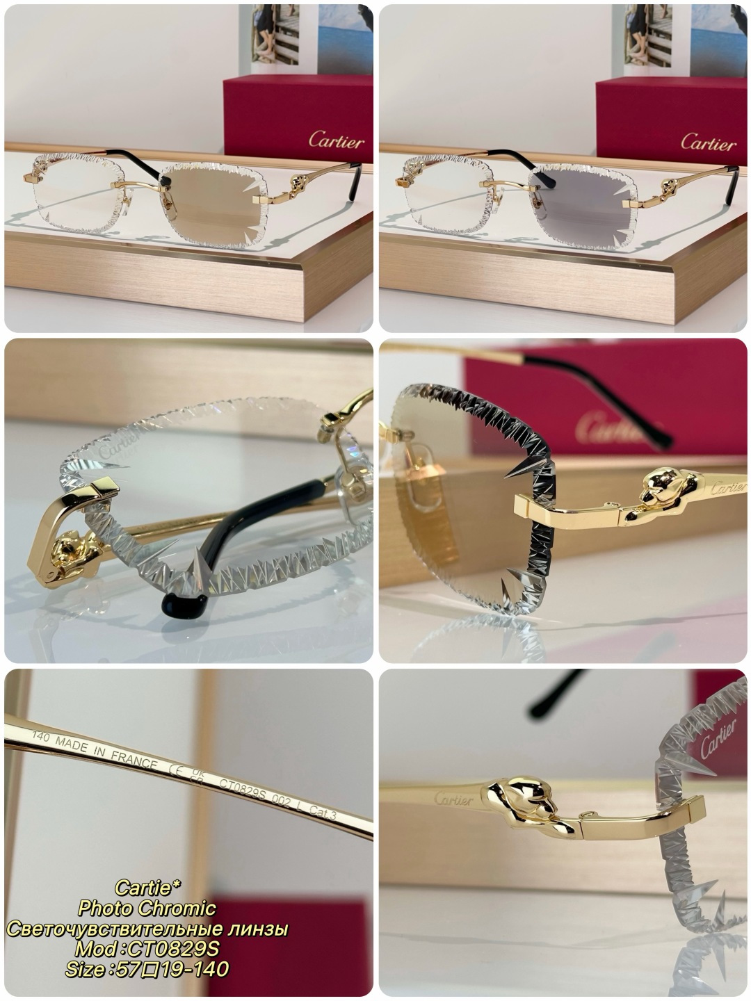 Designer Sunglasses CT0829S