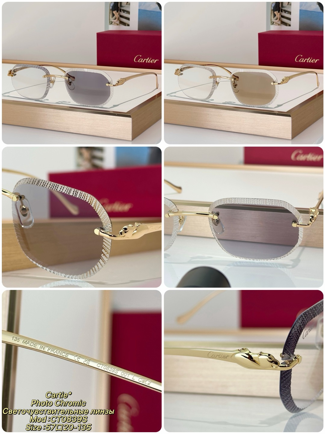 Designer Sunglasses CT0839S