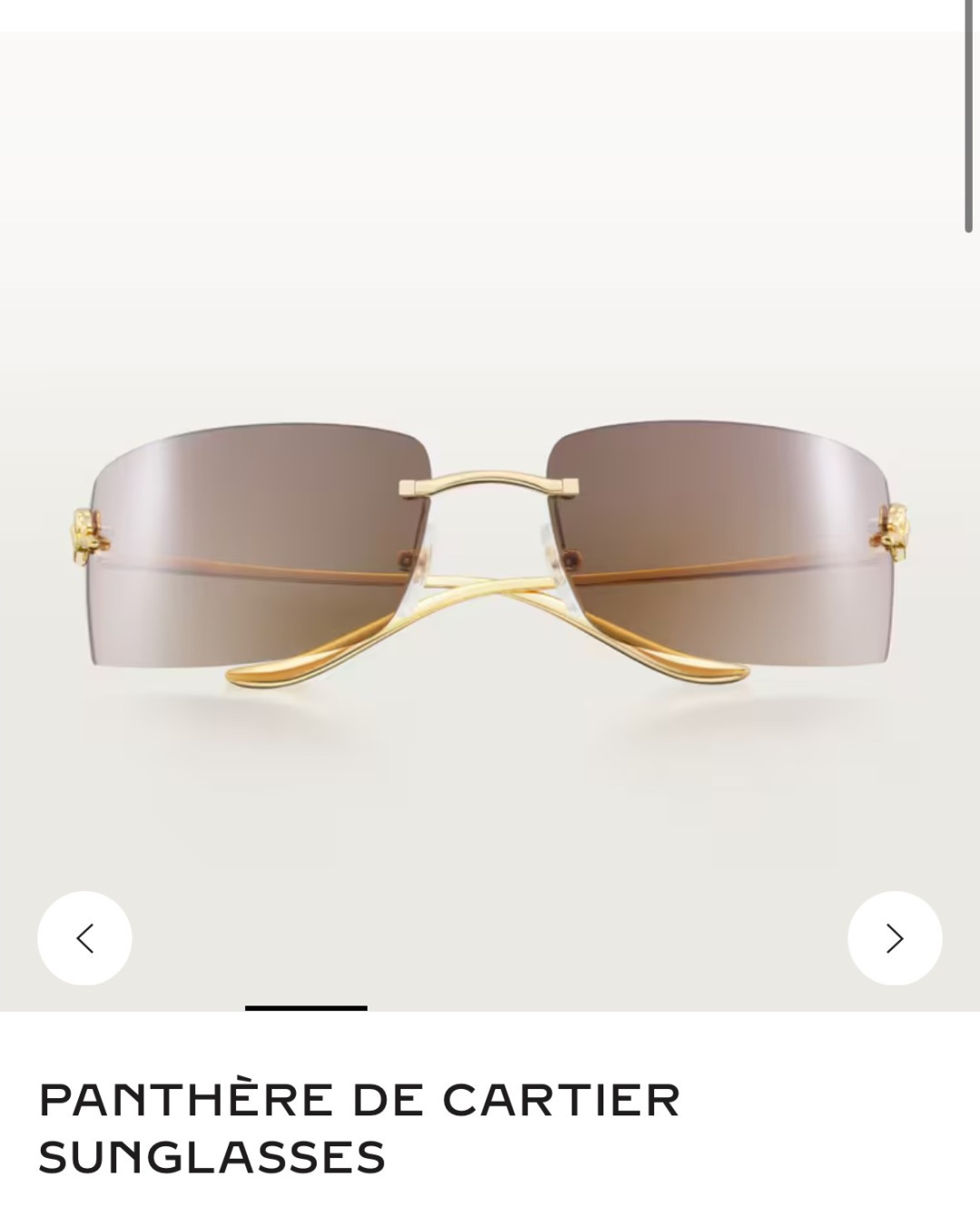 Cartier Sunglasses CT0503S