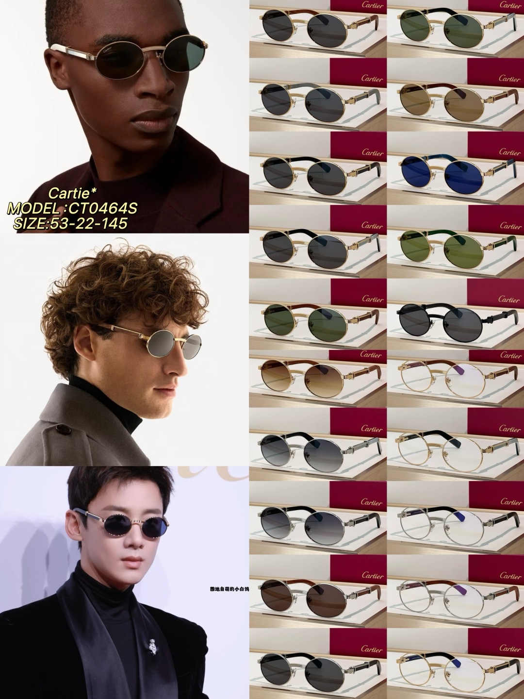 Designer Sunglasses CT0464S
