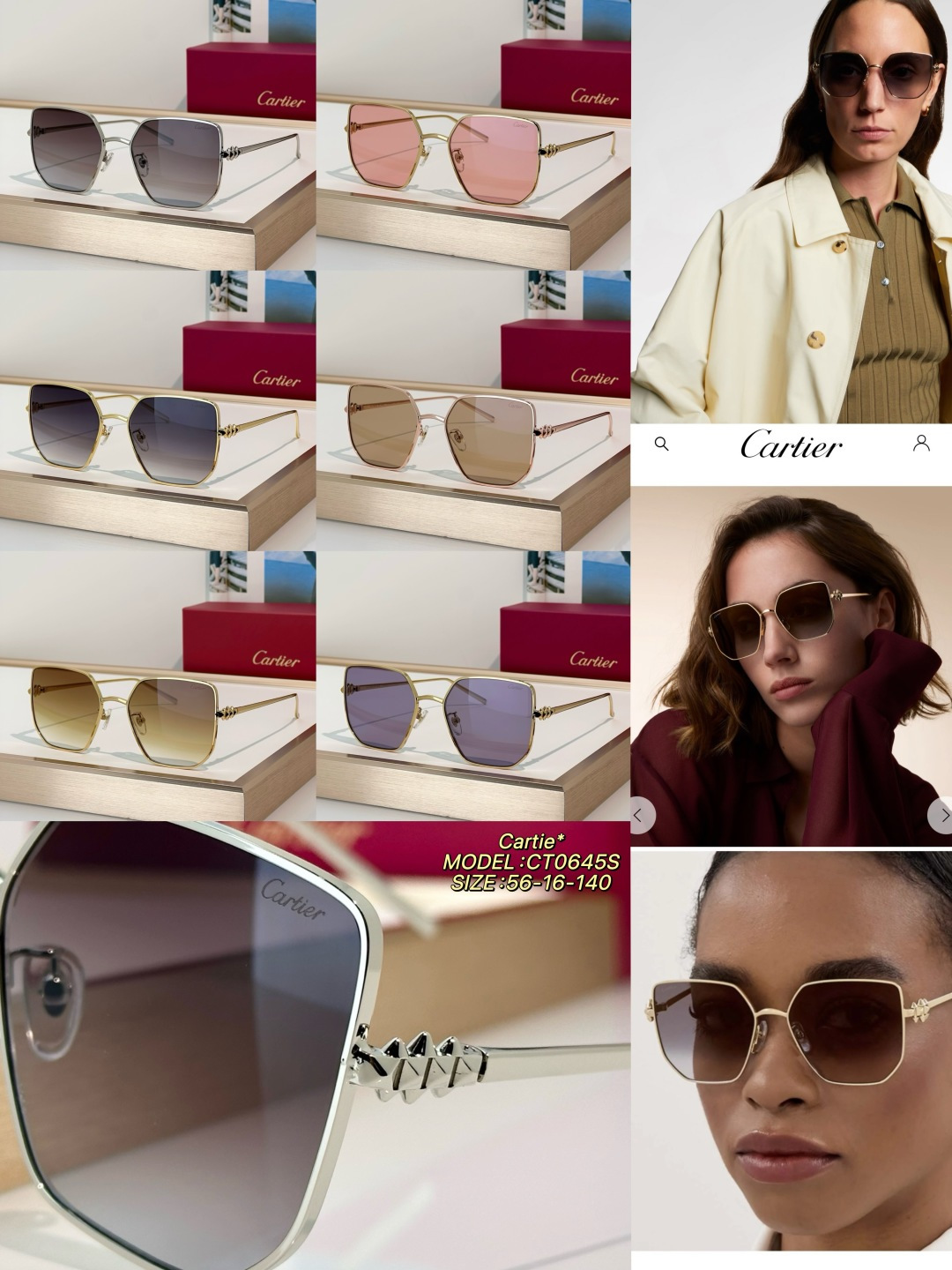 Designer Sunglasses CT0645S