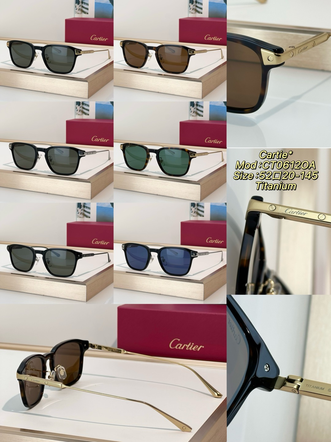 Designer Sunglasses CT0612OA