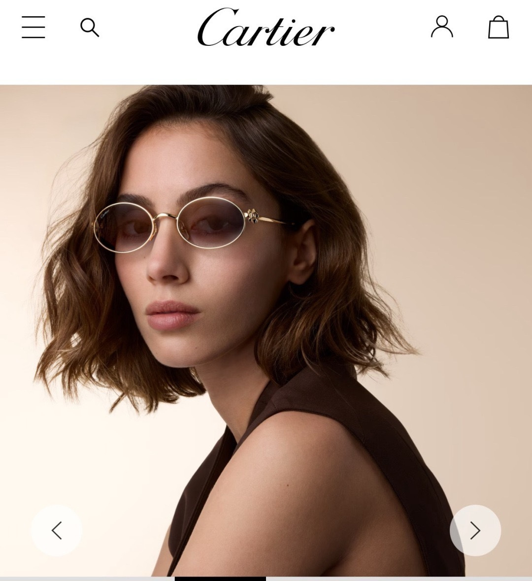 Designer Sunglasses CT0644S