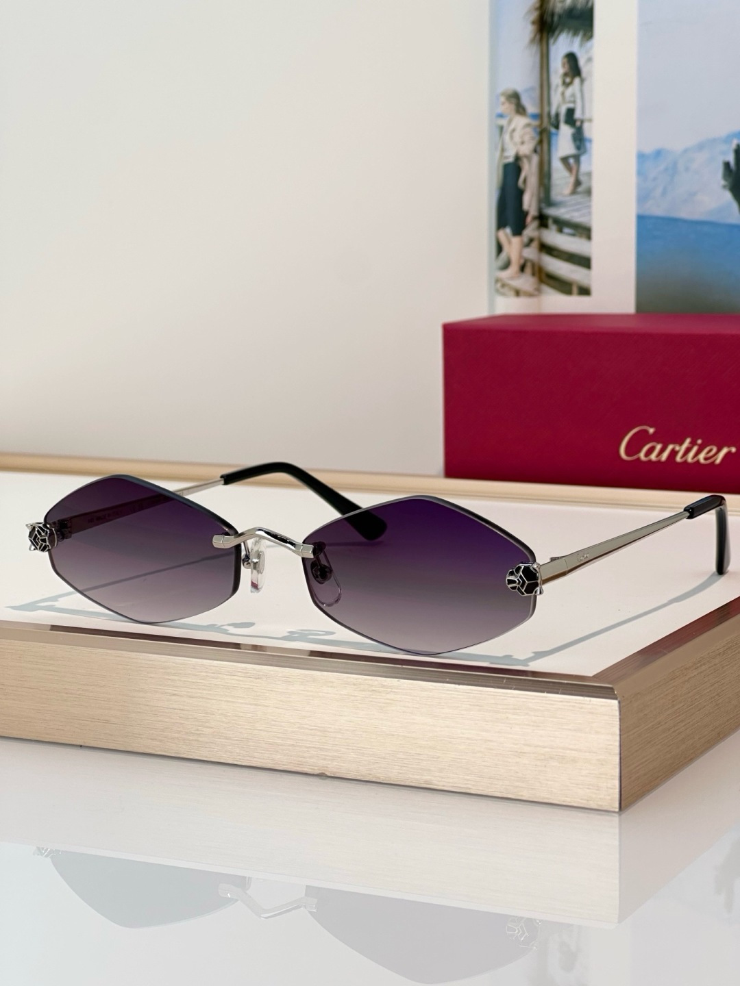 Designer Sunglasses CT0433S