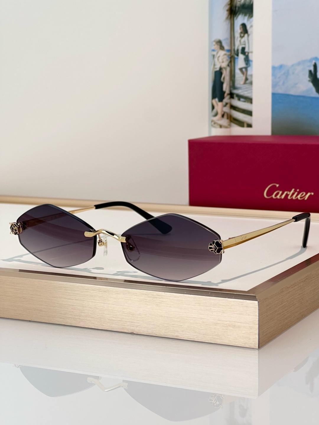 Designer Sunglasses CT0433S