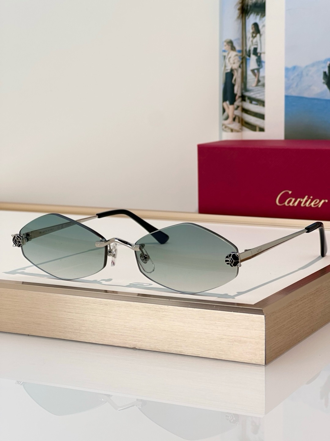 Designer Sunglasses CT0433S