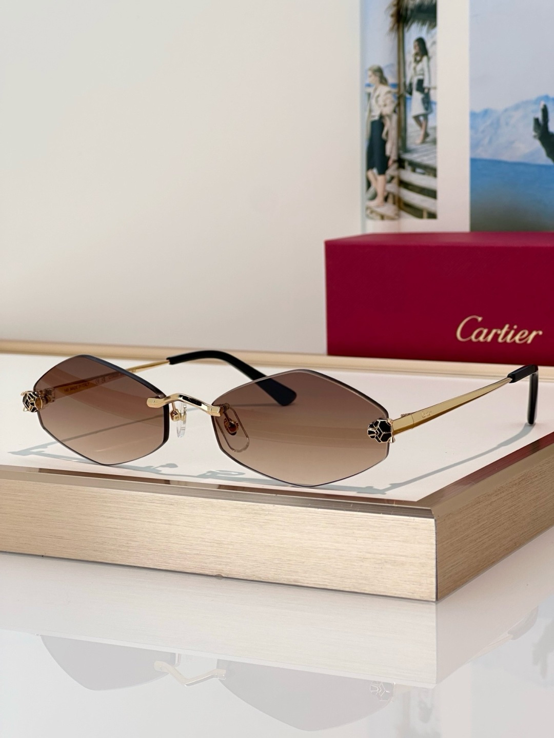 Designer Sunglasses CT0433S