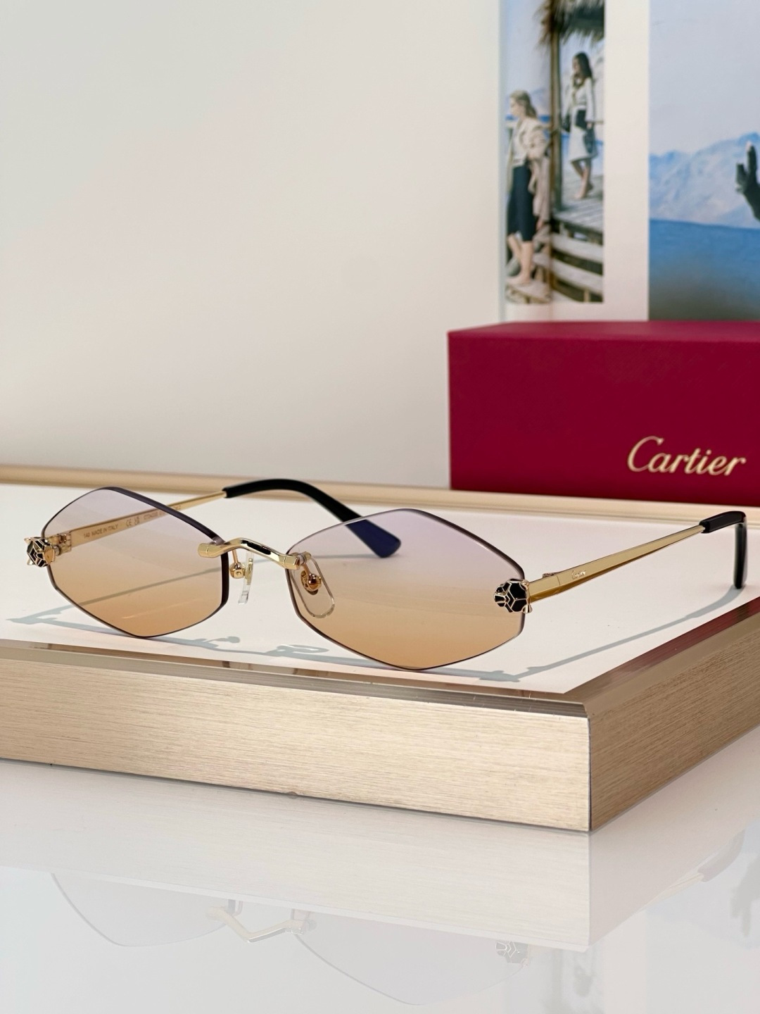 Designer Sunglasses CT0433S