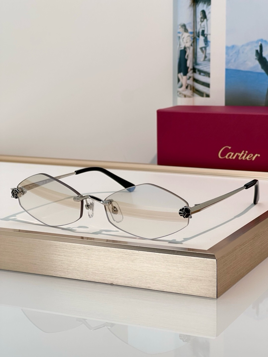Designer Sunglasses CT0433S
