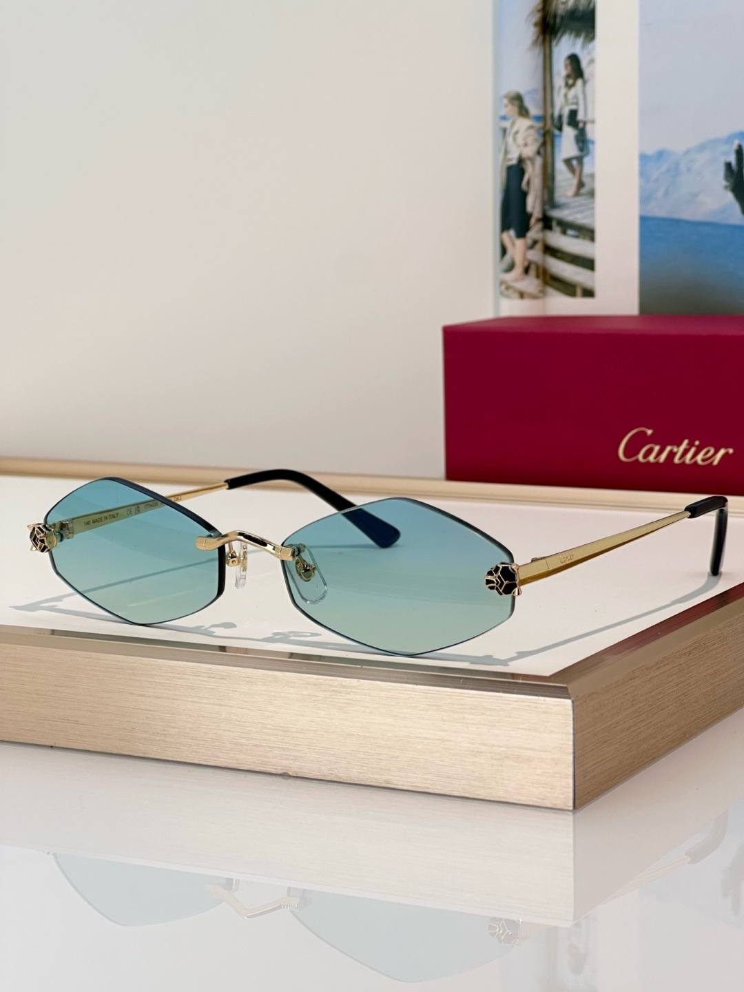 Designer Sunglasses CT0433S