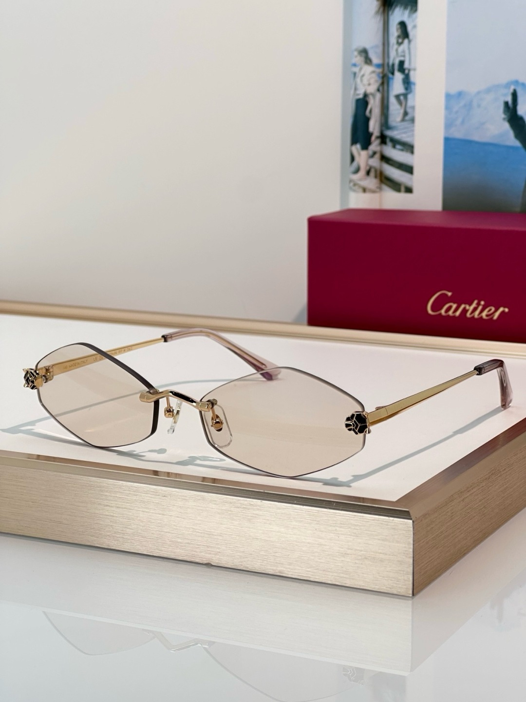 Designer Sunglasses CT0433S