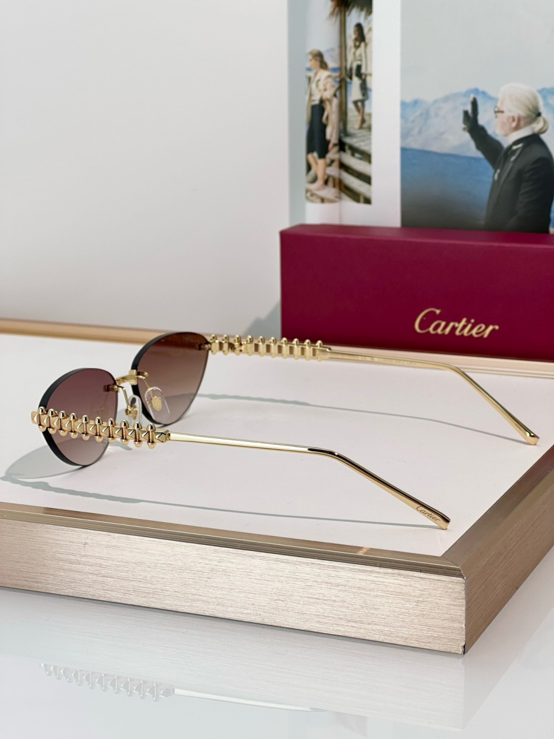 Designer Sunglasses CT0543S