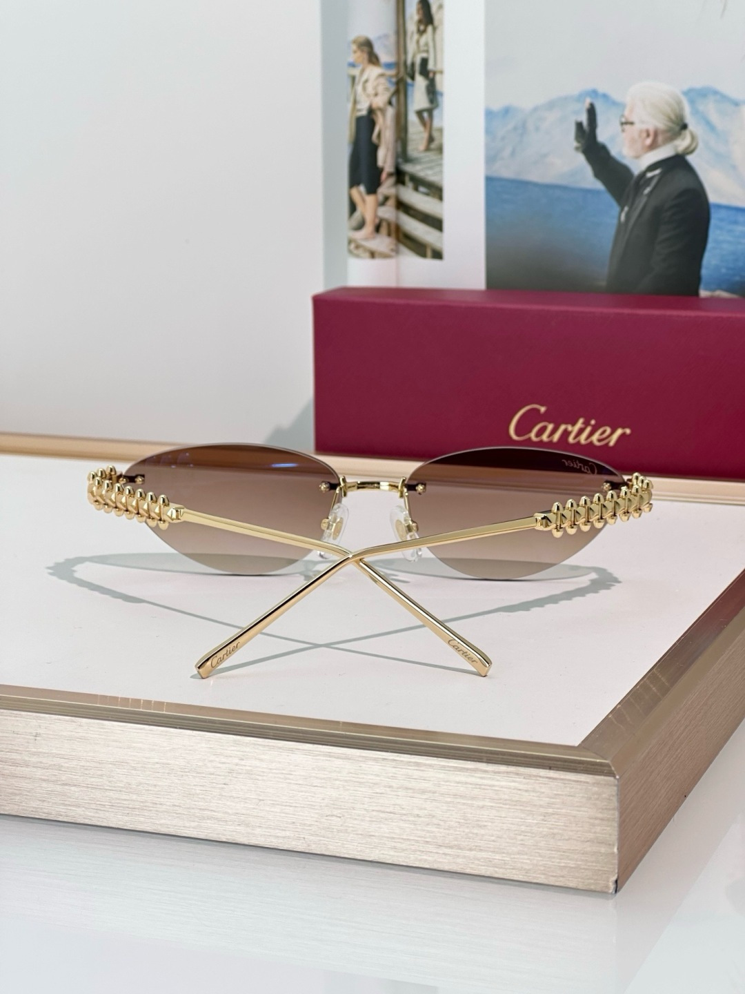 Designer Sunglasses CT0543S