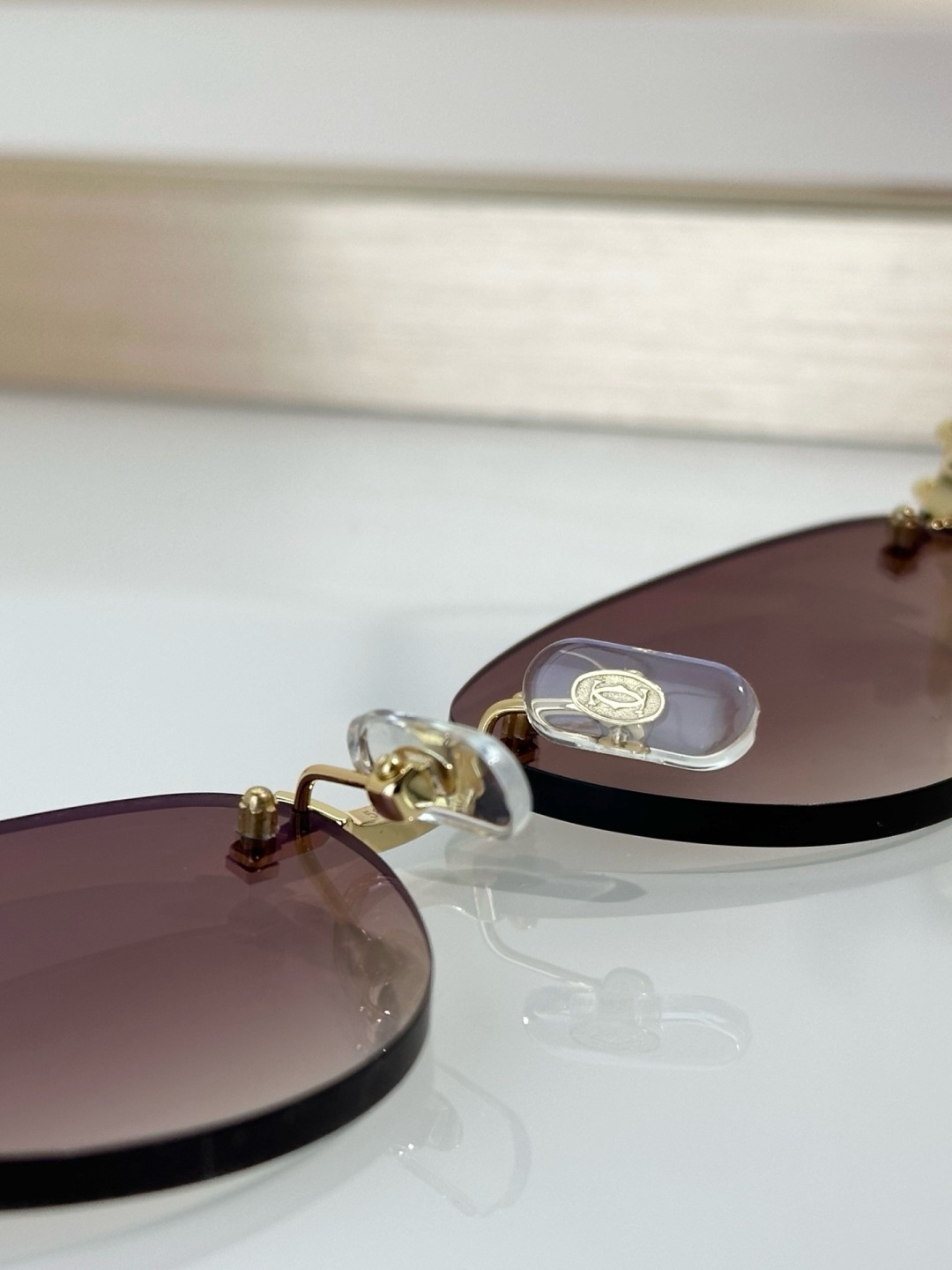 Designer Sunglasses CT0543S